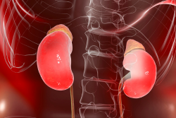 Adrenal disorders