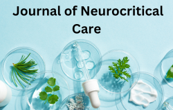 Exploring the Frontiers of Neurocritical Care: Insights from a Journal of Neurocritical Care