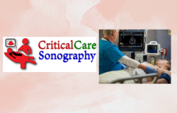 Navigating the World of Critical Care Sonography: An Essential Tool in Modern Medicine