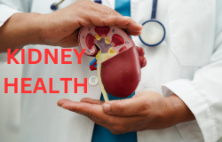 Nurturing Your Kidneys: Essential Tips for Optimal Kidney Health