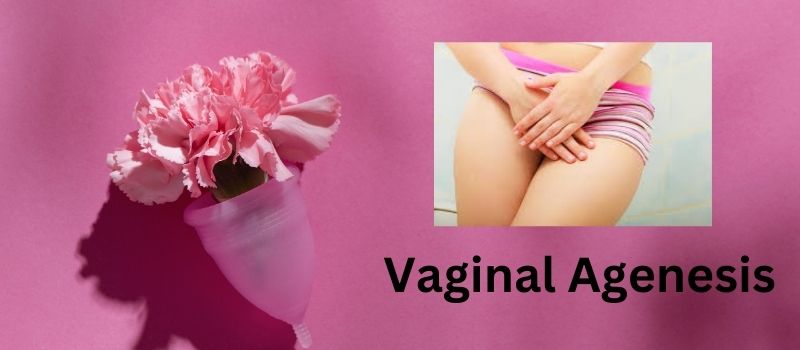 Understanding Vaginal Agenesis: Breaking the Silence and Seeking Solutions