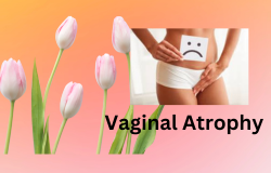 Understanding Vaginal Atrophy: A Guide to Symptoms, Causes, and Treatment